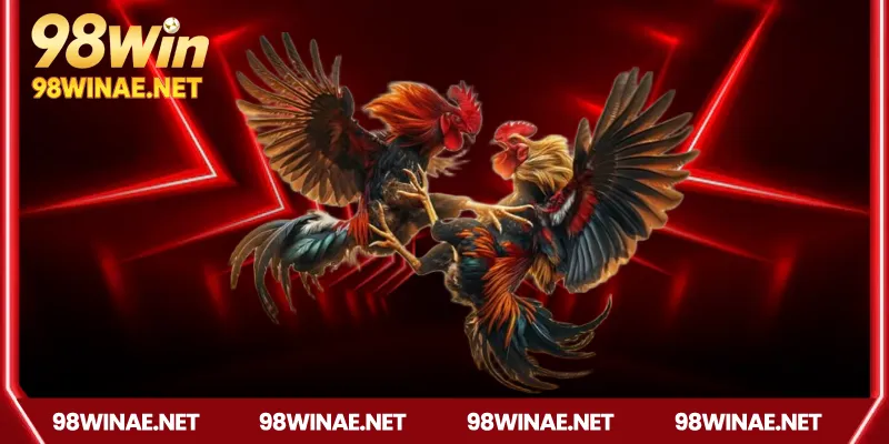 Các hình thức đá gà tho mo phổ biến tại 98win