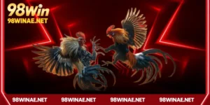 Sức hút của đá gà tho mo 98win